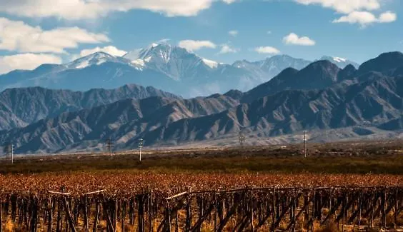 Mendoza Es Montana, Paz Y Malbec Διαμέρισμα