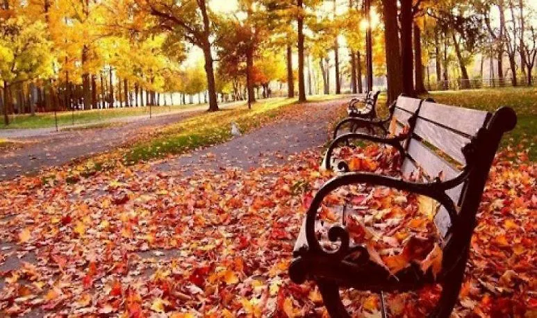 Mendoza Es Montana, Paz Y Malbec Διαμέρισμα Αργεντινή