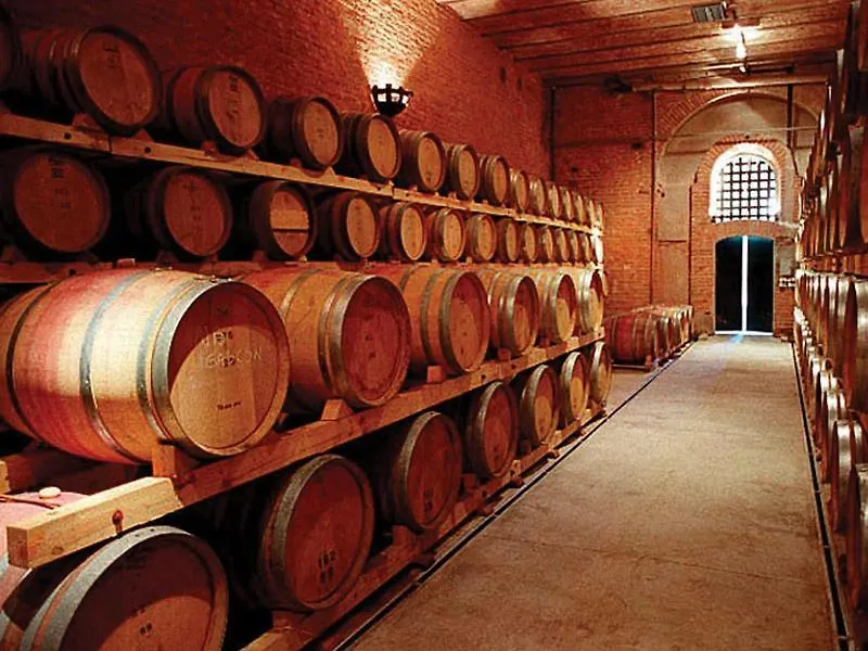 Mendoza Es Montana, Paz Y Malbec Διαμέρισμα