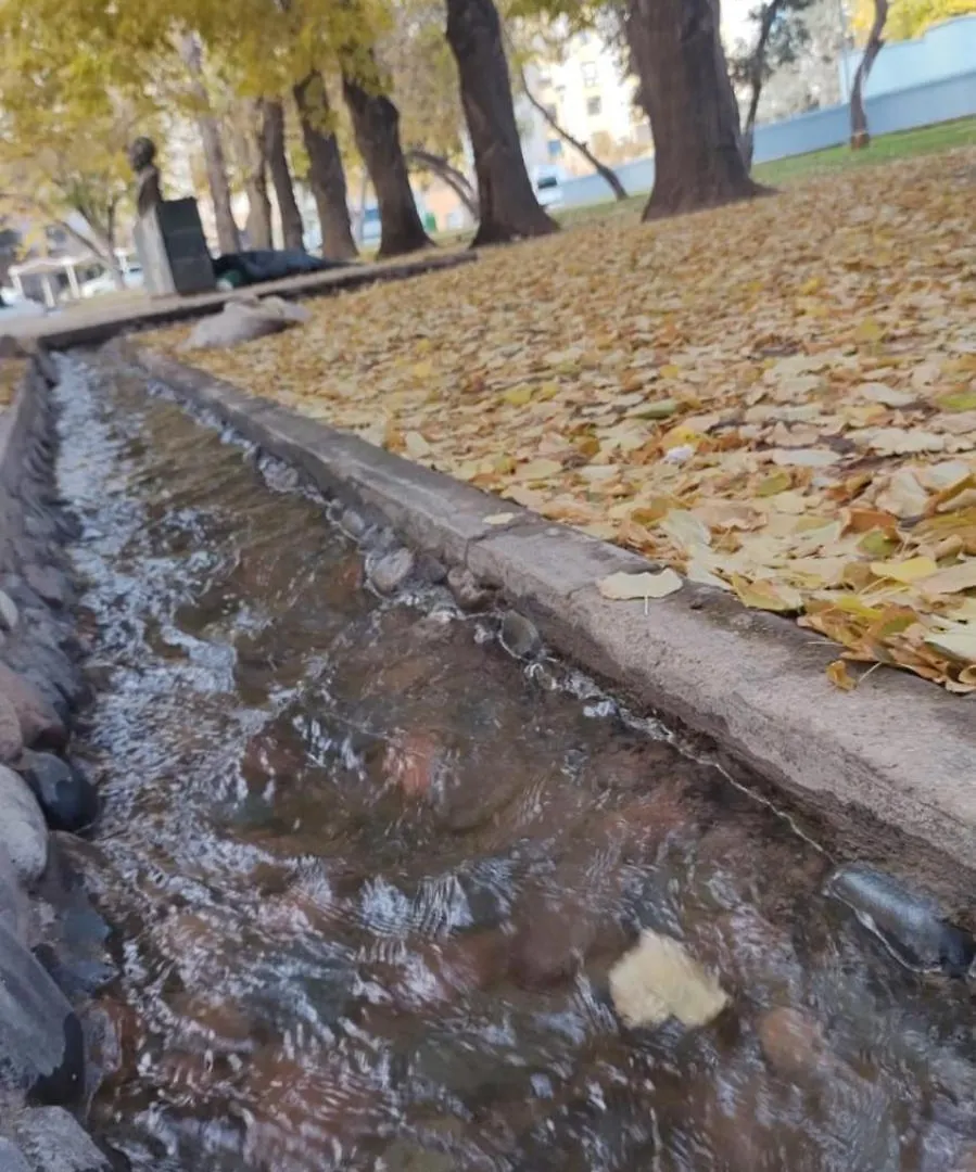 Mendoza Es Montana, Paz Y Malbec Διαμέρισμα